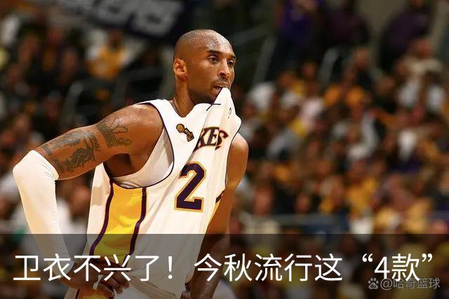 卫衣不兴了!今秋流行这“4款”外套,连宋佳都在穿,很美很高级