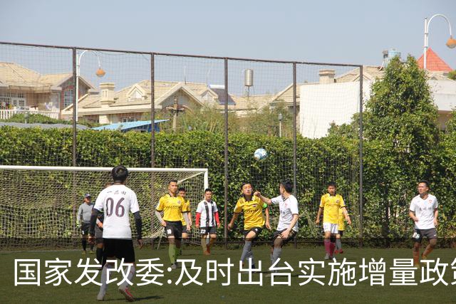 国家发改委:及时出台实施增量政策