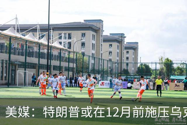 美媒：特朗普或在12月前施压乌克兰，让出顿巴斯